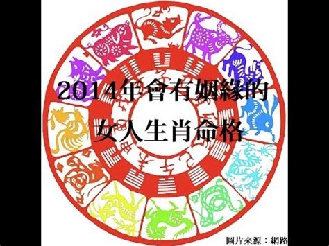 2014屬馬|【2014屬什麼】2014生肖馬的命運—屬馬2014五行命理解析！